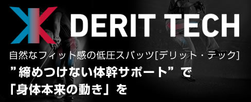 デリットテック(DERIT TECH)